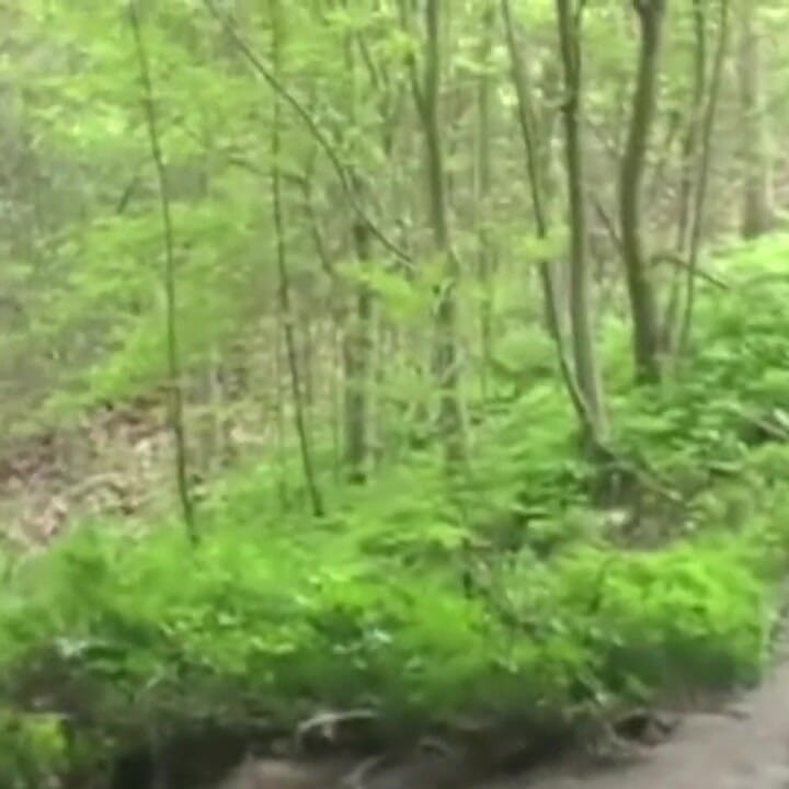 Blonde French twink fucked XXL Arab cock in exhibit bridge