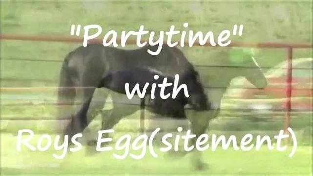 Roys Egg(sitement).