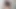 They Almost Discovered Me at My Neighbor's House Masturbating in Her Dining Room
