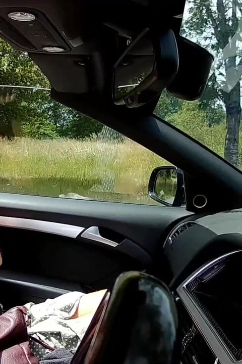 Titty Tuesday Blindfold Truck Stop Fun