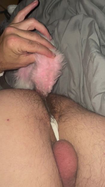 Shy Sissy popping Foxy tail out