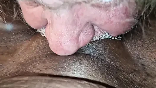 Lagi asik muasin memeknya pakai mainan seks blue nasty