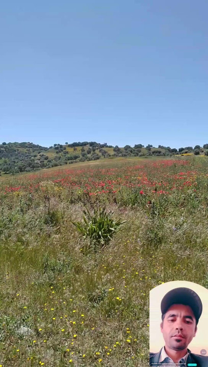 Love nature all time outdoors