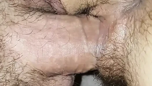Doggy Time