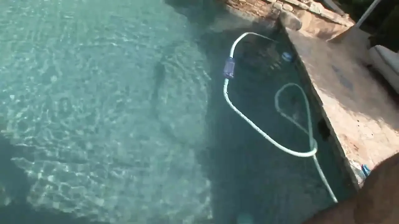 Camryn Kiss - blowjob,pov