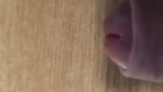 Sperm