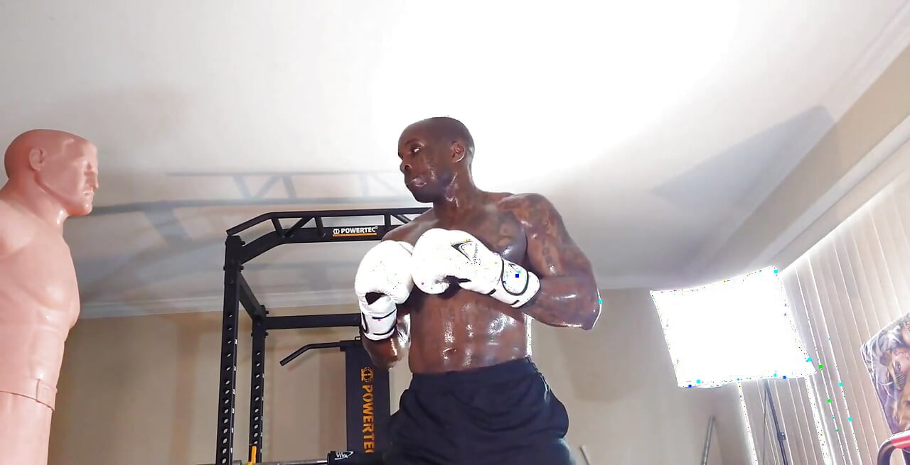 Boxing Workout Local Core Muscles Generally Attach on or Near the Vertebrae. Local Muscles Provide Dynamic Control of the Spinal