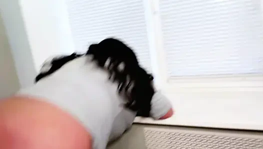 Aldatan evli kadın mutfakta özür diler ve sevgili genç adamla özür diler.