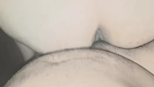 of a puppy