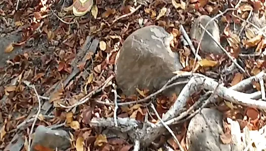 SEXY MATURE WIFE WITH A PRETTY PUSSY IS CAUGHT PEEING ON THE BEACH