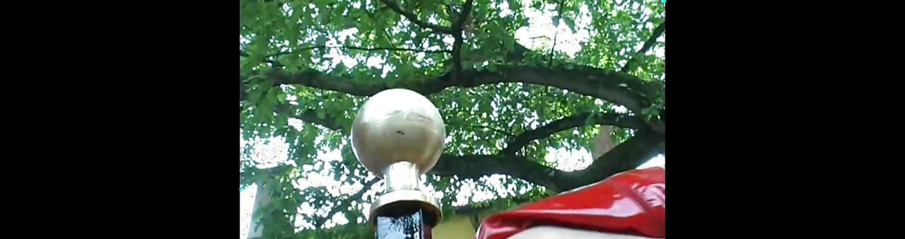 Alles Passt in Den Arsch Dieser Blonden Schlampe