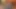 Claire robbins ile porno yıldızı korku hikayeleri