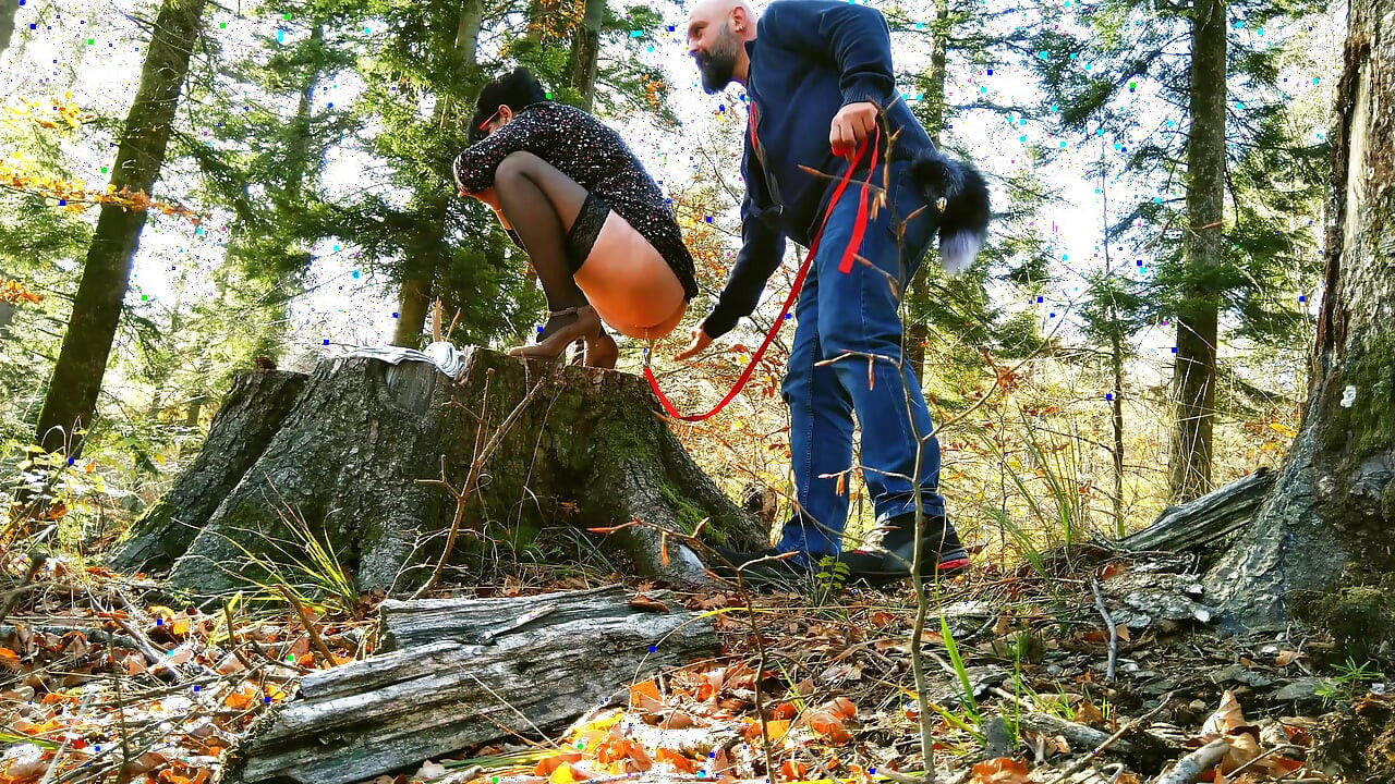 Ma belle-mère au milieu des bois