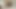 Portugese stud using cuckcum22 sissy slag