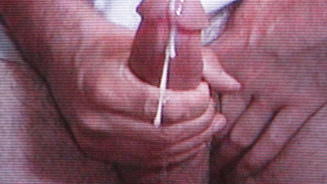 Masturbation Cumshot Compilation