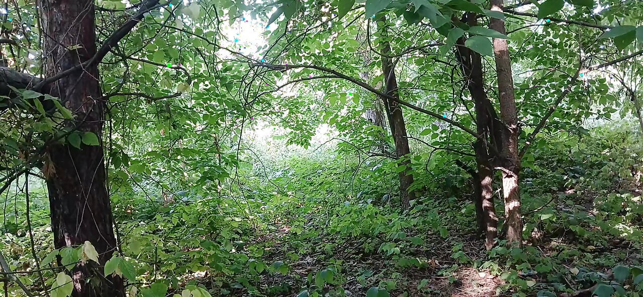 Mala i velika guzica imaju rizičan vrhunac na javnom mestu