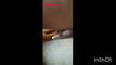 Pratinjau video