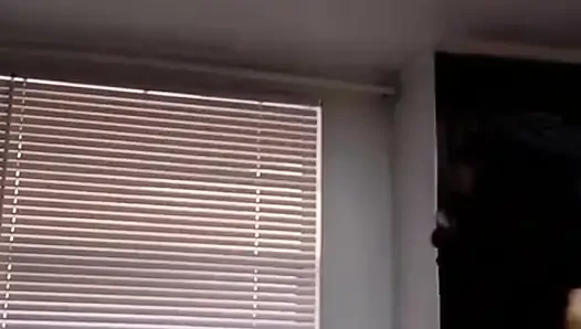 Stream