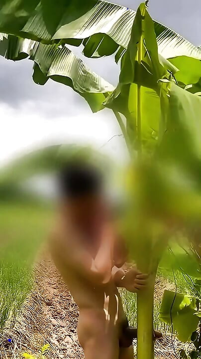 Thai guy fuck banana tree