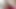 Vaginal and Anal Dildo Enjoyment