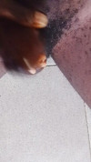 Pratinjau video