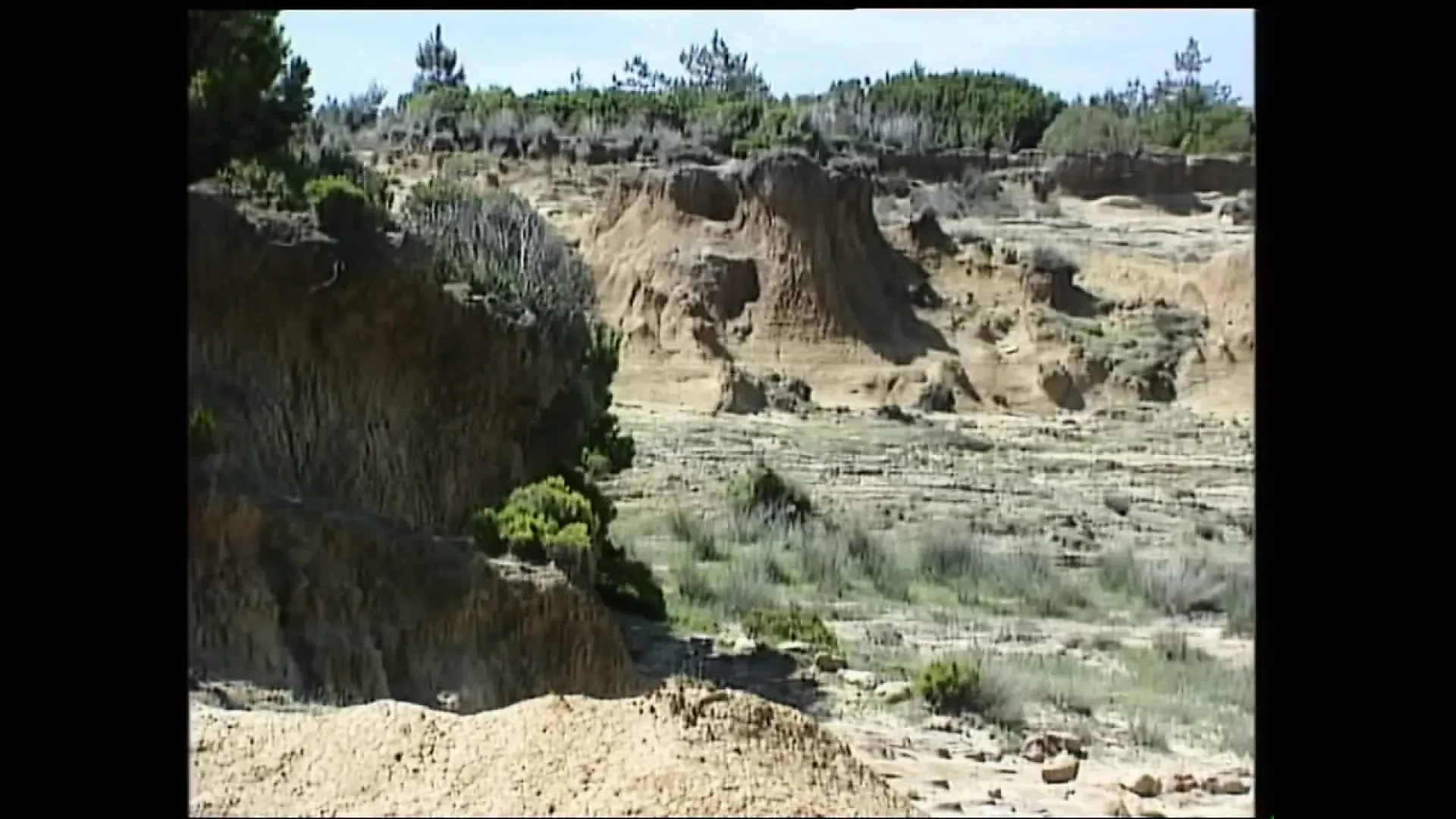 Hot Summer Nights (Full Movie)