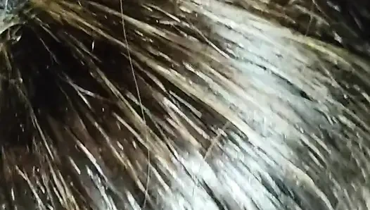 Aku lagi asik nyepong kontolnya di dalam mobil!