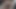 الملاك الآسيوي 24903