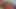 Ich bekomme einen Blowjob