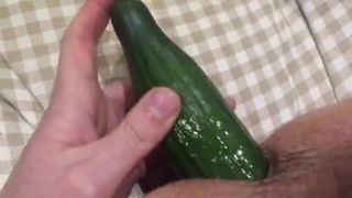 Anale komkommer spelen