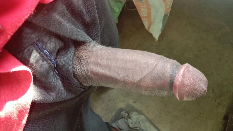 Budak desi India tanah besar