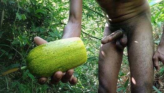 Cucumber Fuck Outdoor in Forest