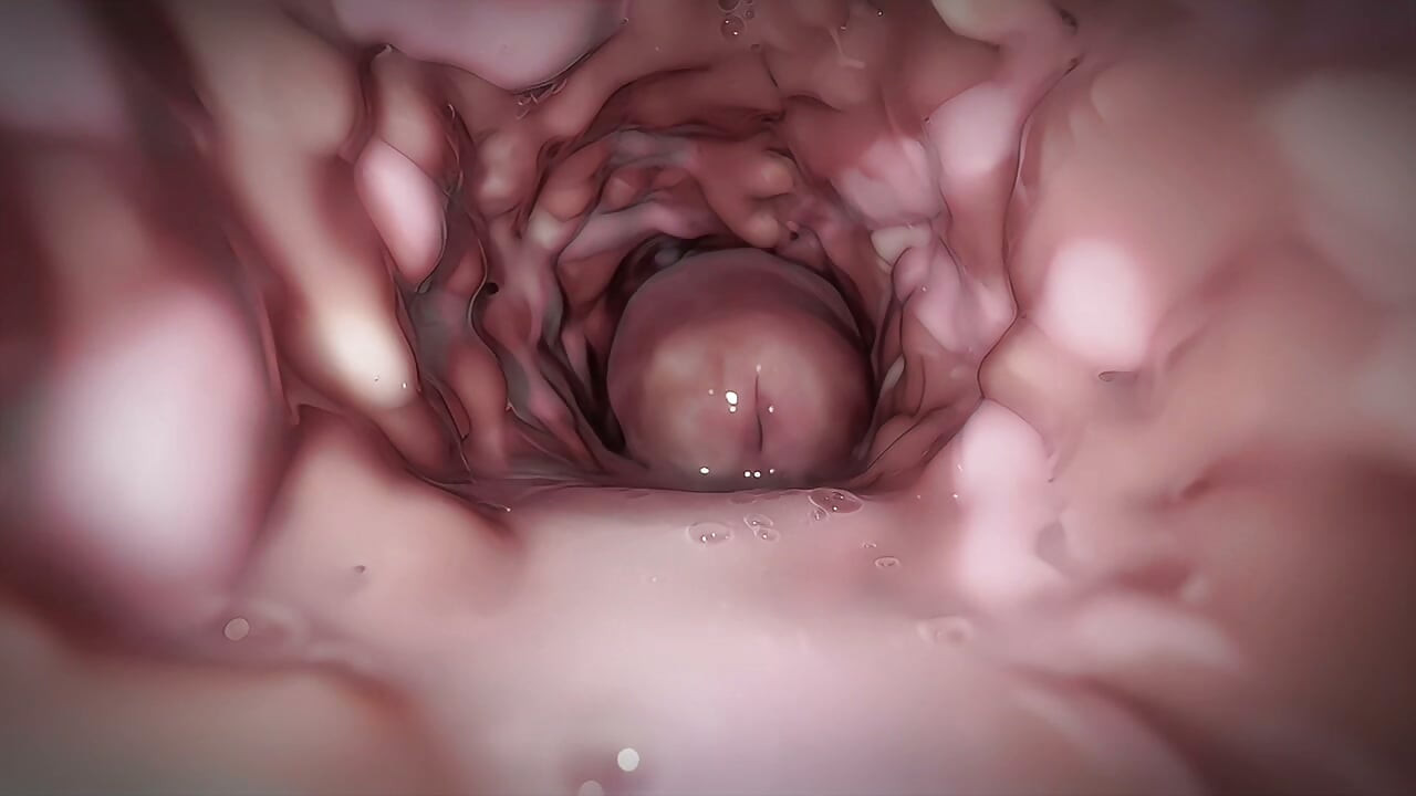 Tôi phải địt cô ấy! Cho đến khi bố dượng về nhà
