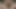 lanet benim seksi karısı bölüm