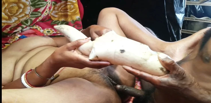 Anal sex penis radish pussy penetration nomita bhabhi