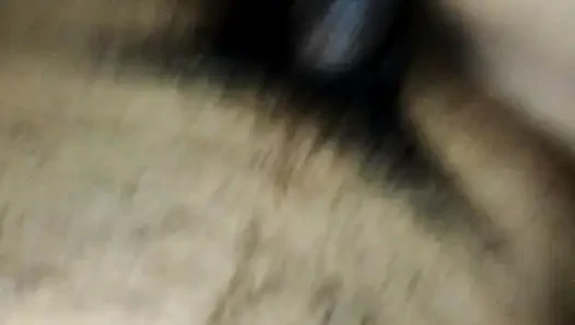 To the native sister-in-law. . Cock sucked