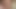 興奮した豚たちに抱かれる可愛くてセクシーな女の子
