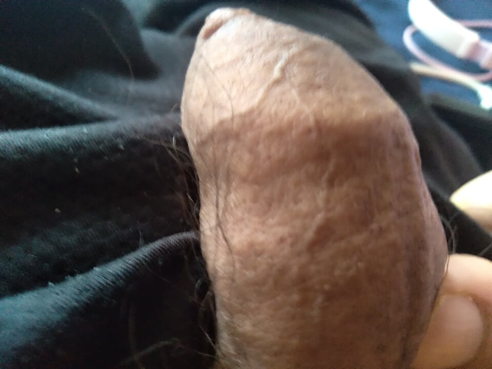 really hard penis lonely