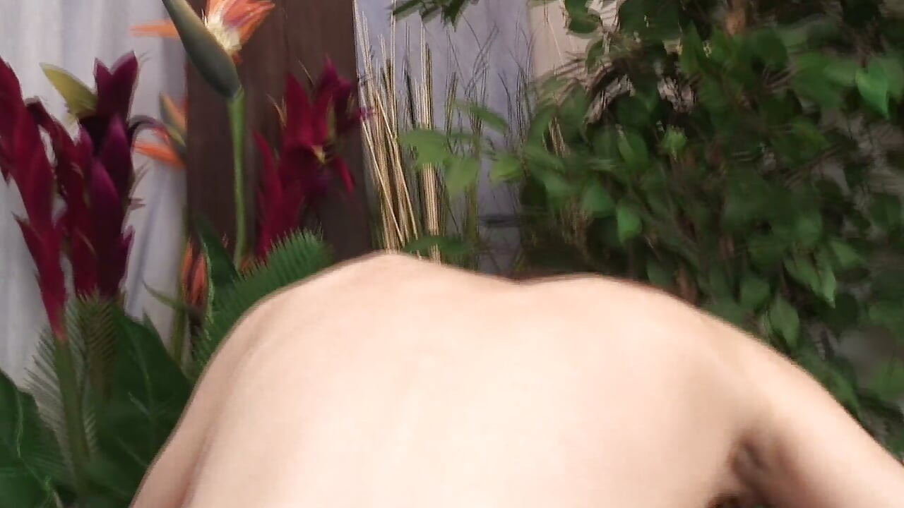 Pink pussy gets fucked deep with a big cock