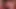 Beautiful Brunette Girlfriend Giving Superior Blowjob