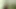I masturbated twice at night by going to the toilet and watching sex videos