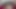 スペシャルコネクション:BBCラバー