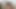 僕のフェラのやり方は好き?