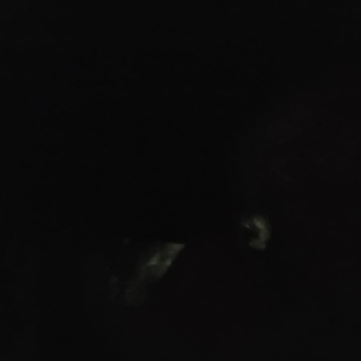 Jazda samochodem topless