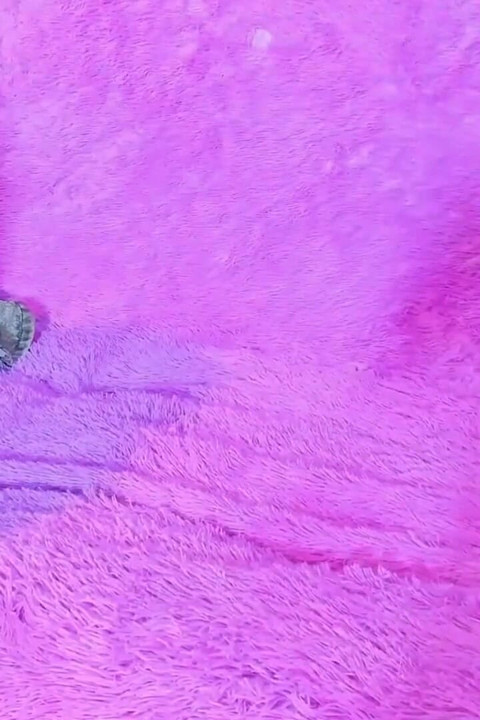Creamy Tongue in Her Waxed Pussy