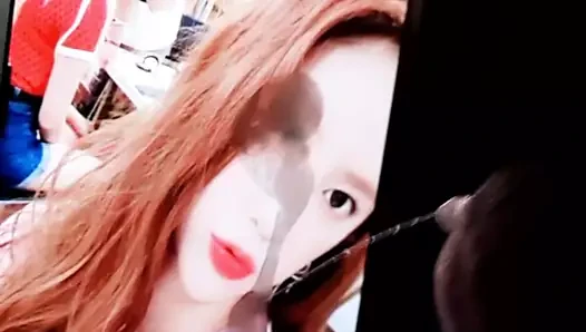 Momoland daisy döl haraç