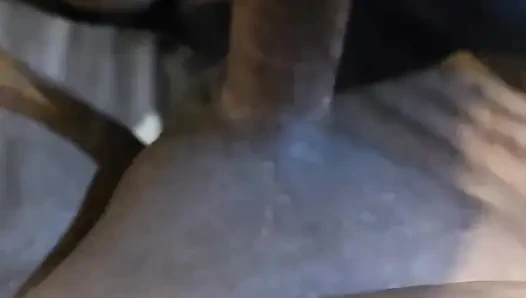 Pastayla döl yiyor