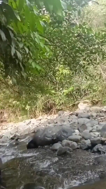 Epic moment from "PART ONE. they meet in the river and they FUCK MY ASS .. SEX IN THE FOREST"
