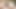 BBW Swingers Threesome