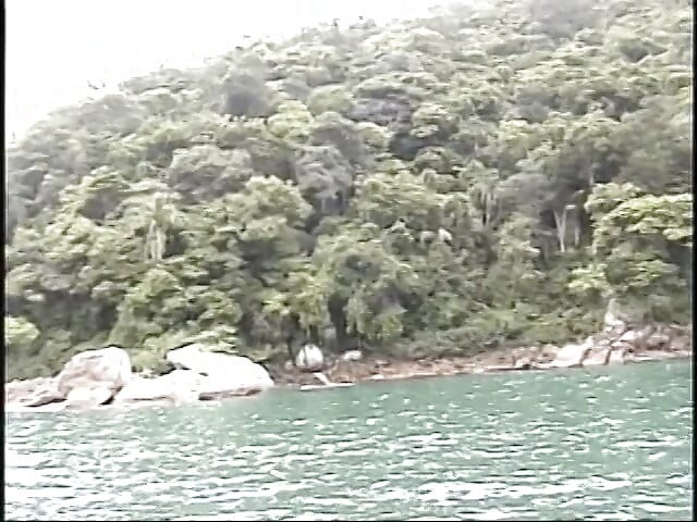 Cute Sunburnt Shemale Is Fond of Being Banged Watching Spectacular Sceneries of Costline
